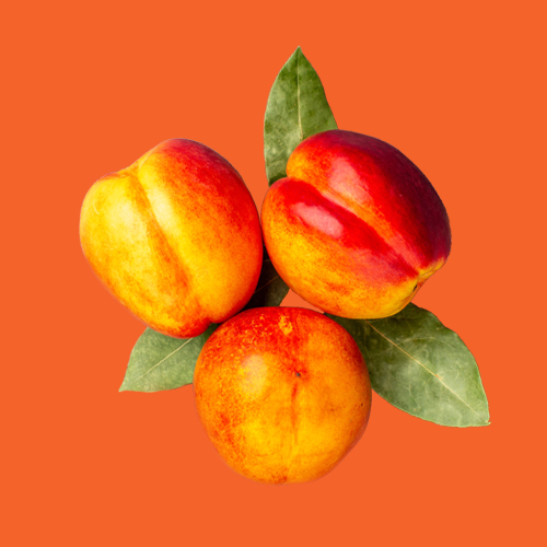 nectarina-fruta-ecologica-garreta
